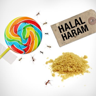 Dapatkah Produk Haram Berubah Halal?