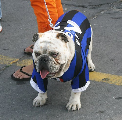 spectre-soccer-room-2012-2013