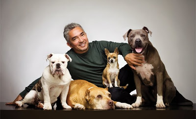 &#91;AMAZING&#93;Mari Mengenal Sang Pembisik Anjing &quot;Cesar Millan&quot; &#91;++PIC&#93;