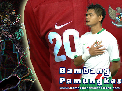 All About Timnas