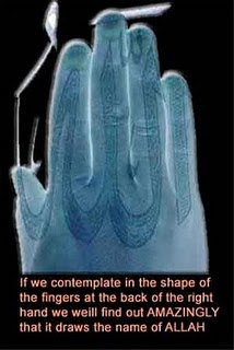 rahasia keajaiban allah di telapak tangan agan &#91;muslim masuk&#93;