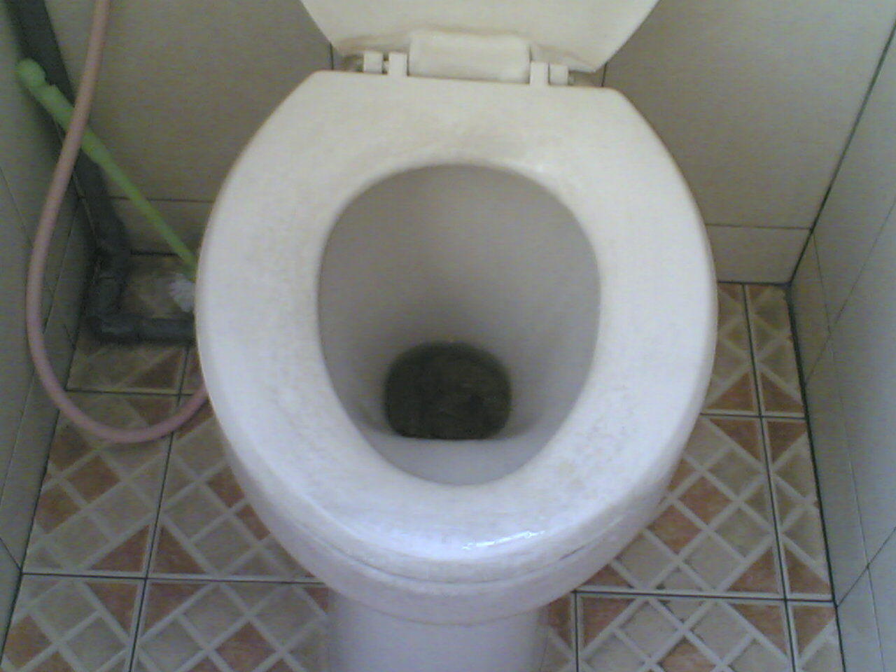 hal hal yang paling menyebalkan ketika di toilet