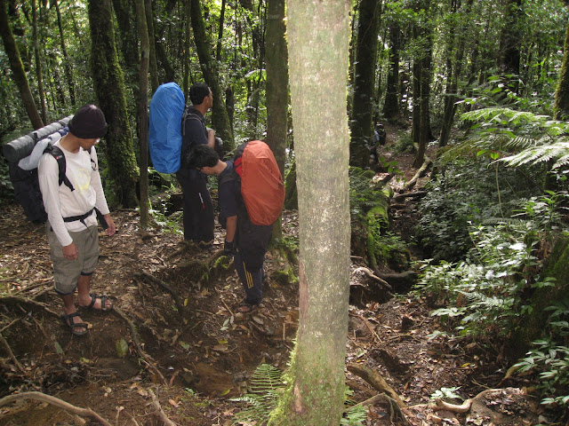Menjelajah 7 Gunung Terindah di Indonesia Tercinta