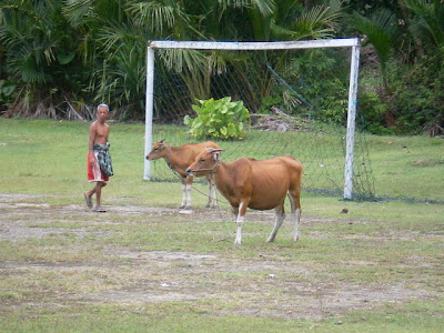 APAKAH AGAN PERNAH MAIN BOLA DENGAN CARA BEGINI...