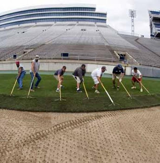 Inilah Proses Pembuatan Rumput Lapangan Bola Kelas Dunia