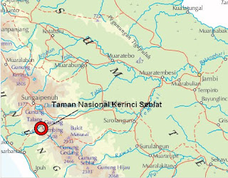 "Uhang Pandak" Manusia Purba yang Masih Ada Di Sumatera (Manusia Hobbit)