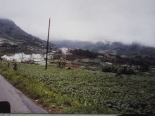 Kisah nyata tentang Desa yang hilang dalam semalam di Dieng Wonosobo