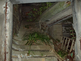 foto-pulau-terlarang-di-jepang-pic