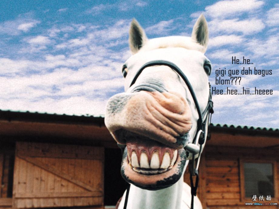 wowo-ke-laut-wall-street-journal-buat-quiz-seberapa-jauh-anda-mengenal-jokowi