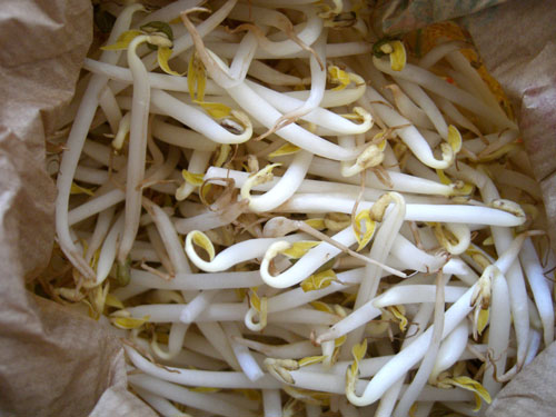 ingin-punya-sperma-berlimpah-ada-triknya-gan