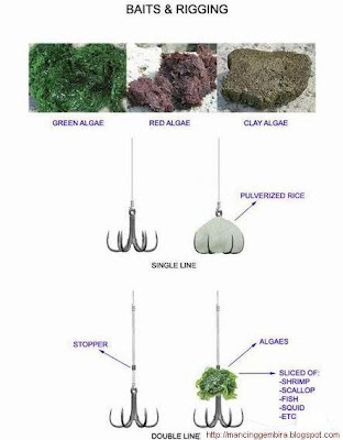 Diskusi Tentang TEGEK