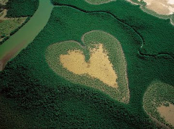 Pemandangan Hati (LOVE) dari udara, terbesar didunia