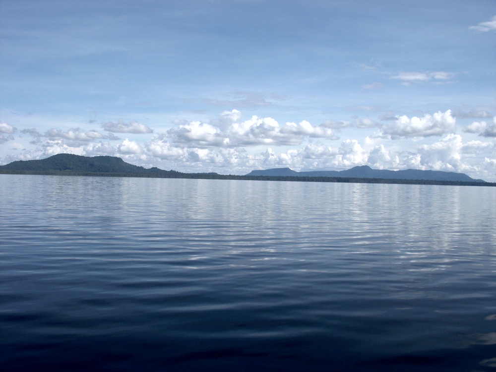 ''wonderful indonesia'' -Taman Nasional Danau Sentarum: Hutan di Atas Air