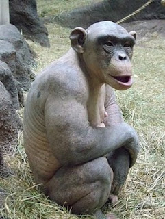 175817581758-lounge-175817581758