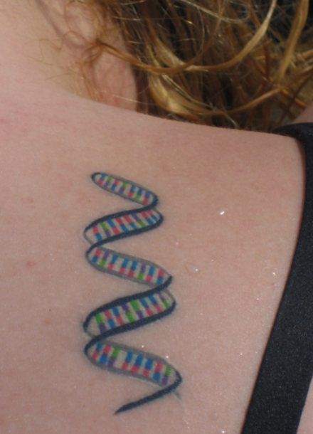 &#91;PIC++&#93; Tato Sains Yang Unik Dan Kreatif