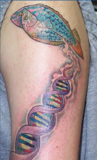 &#91;PIC++&#93; Tato Sains Yang Unik Dan Kreatif