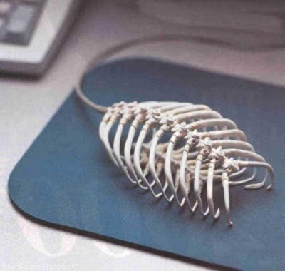 Mouse unik gan :D (rada BB)