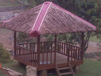 {serba 13} ====13 kegunaan daun di INDONESIA====