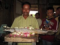 Binatang Ini Kebal Pisau dan Bikin Kesurupan