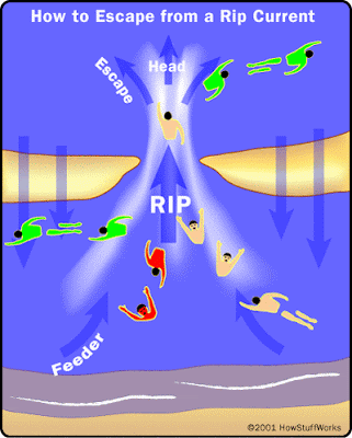 Waspadai Rip Current dan Cara Mengatasinya