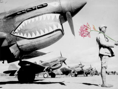 Foto Senjata Perang Zaman Dulu Yang Diubah Menjadi Setangkai Bunga Cantik &#91;Awesome!&#93;