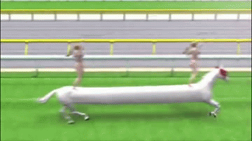 gif balap kuda kocak