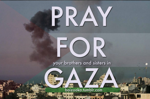Tentang Jalur Gaza (Masuk gan, sekedar tanya tanya)