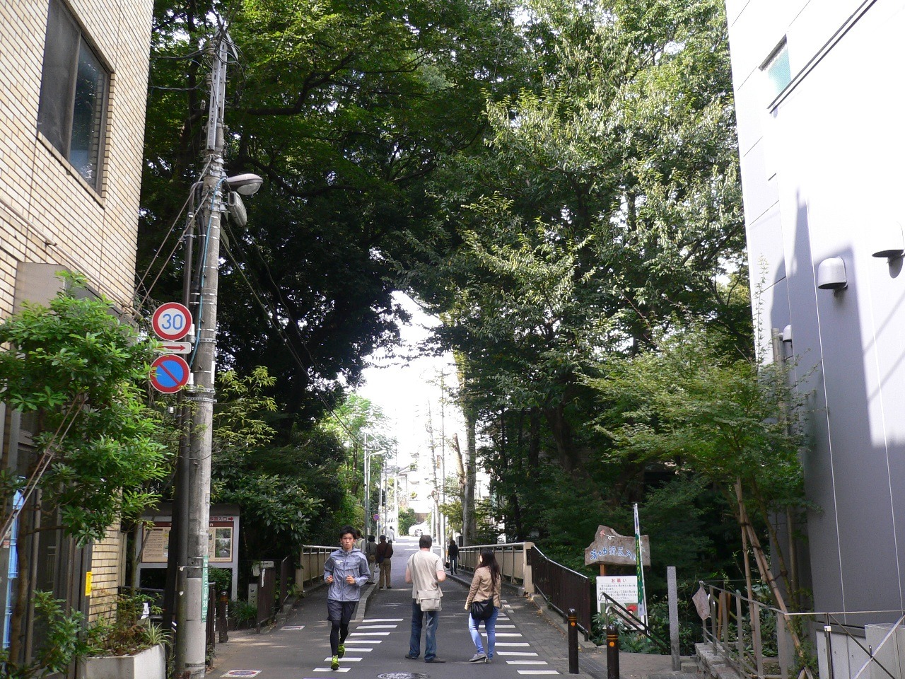 &#91;FR&#93; Tokyo in 8 days October 27 - November 4 2015