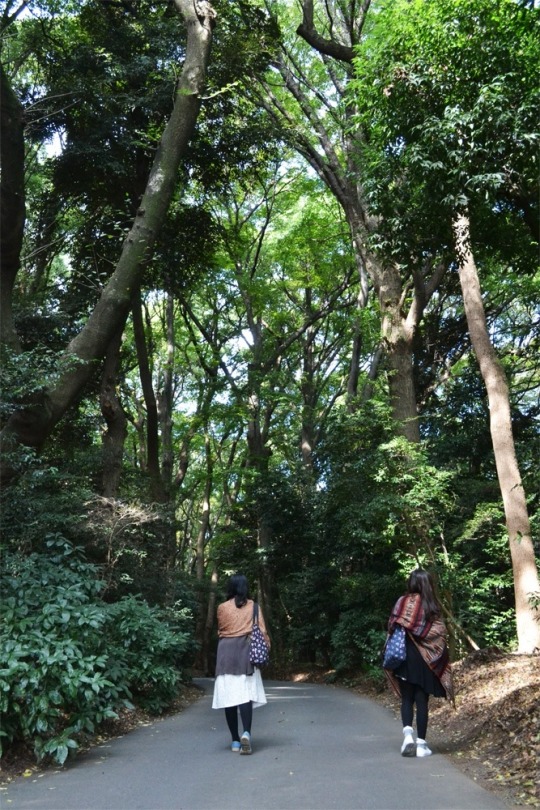 fr-tokyo-in-8-days-october-27---november-4-2015