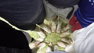 Tracking Kawasan Hutan Lindung Sungai Wain