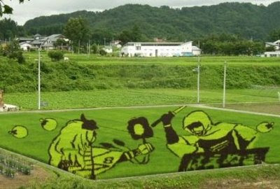 MELUKIS SAWAH SENI UNIK DARI JEPANG