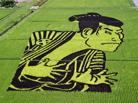 16 PEMANDANGAN SAWAH TERINDAH DI JEPANG GAN!! WAJIB MASUK