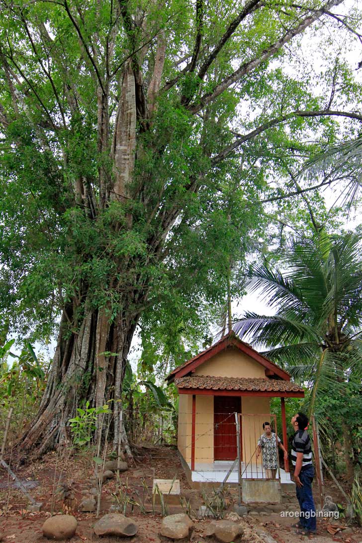 &#91;CoC Regional: Lokasi Wisata&#93; Situs Carangandul Karanglewas Banyumas