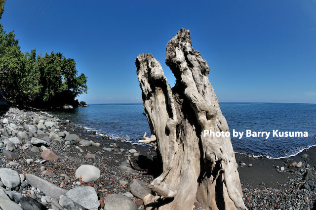 &#91;Travelista&#93; Ternate Kota Pusaka Dunia