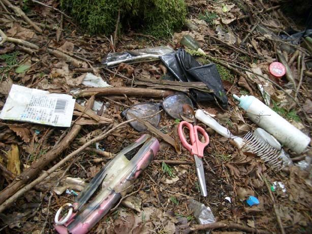 Hutan Aokigahara, Tempat Favorit Untuk Bunuh Diri