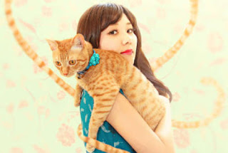 Sayang Binatang Tapi Punya Alergi? Begini Mengatasinya 