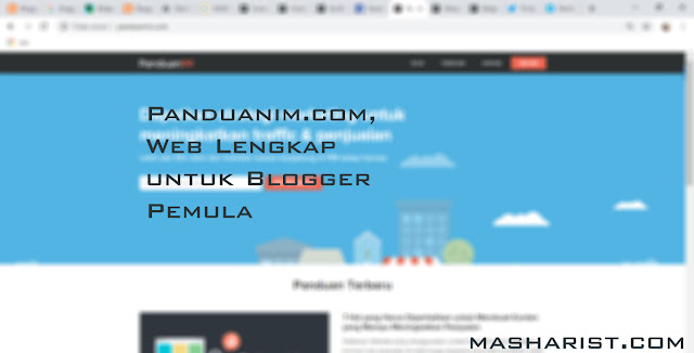 Panduanim.com, Web Lengkap untuk Blogger Pemula