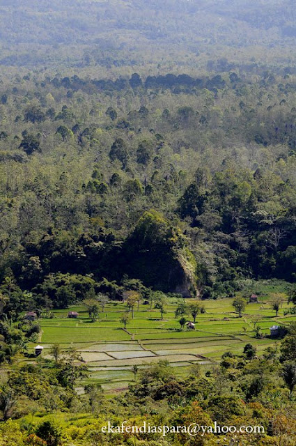 Gunung Pesagi Surganya para Pendaki