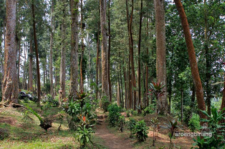 &#91;CoC Regional: Lokasi Wisata&#93; Telaga Sunyi Baturraden, Cocok Buat Merenung