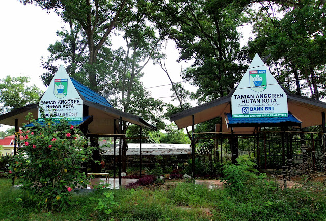 Jangan Terus Bangun Gedung, Ayo Bangun Hutan di Kota