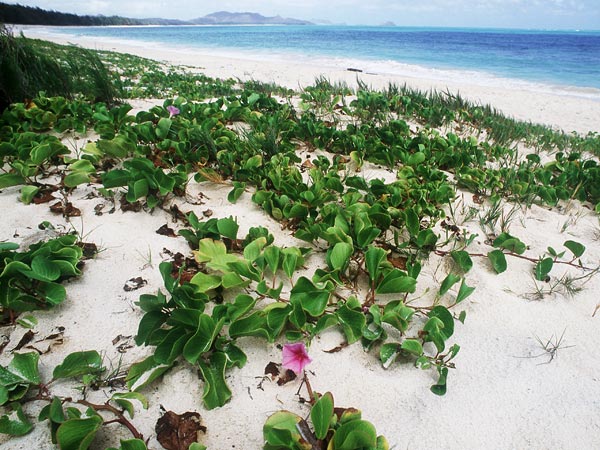 10 Pantai Terindah Tahun 2012 Versi National geographic