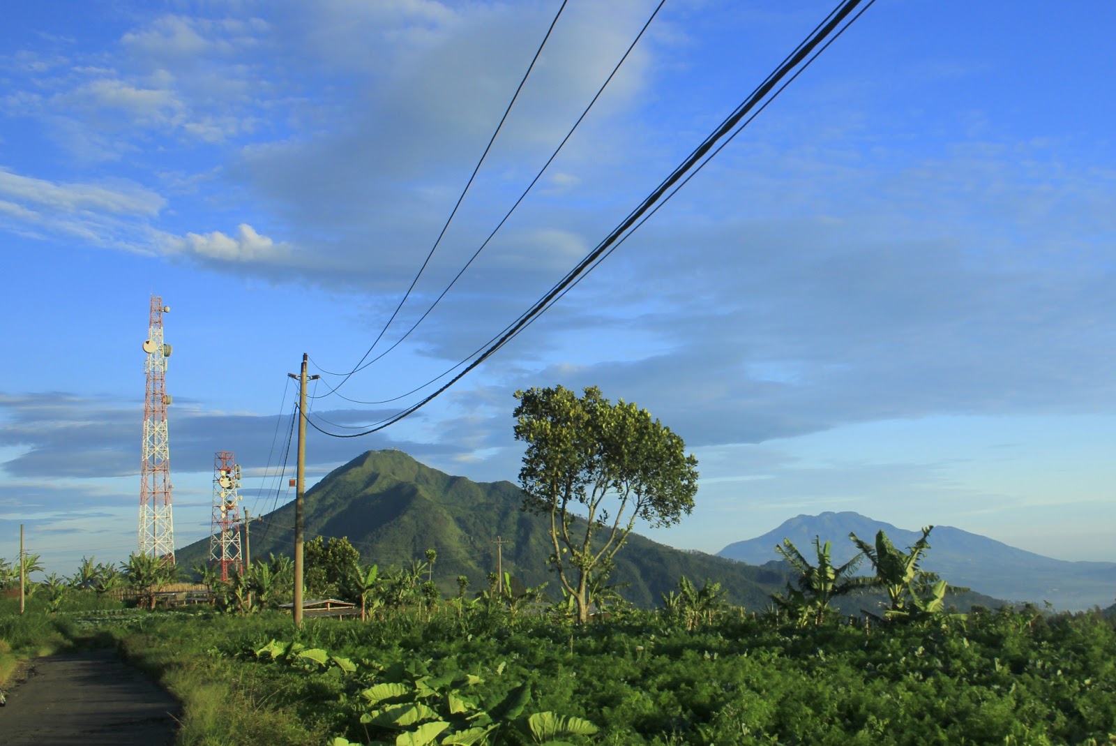 &#91;AJAKAN&#93; Naik-Naik ke Puncak Andong, Lanjut ke Telomoyo 7-9 Feb 2014