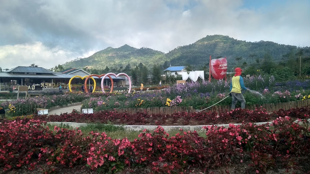 &#91;CoC Regional: Lokasi Wisata&#93; Nyasar, Sampai Kutabawa Flower Garden
