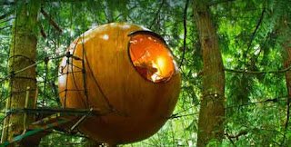 5 Rumah Pohon Paling Unik Di Dunia