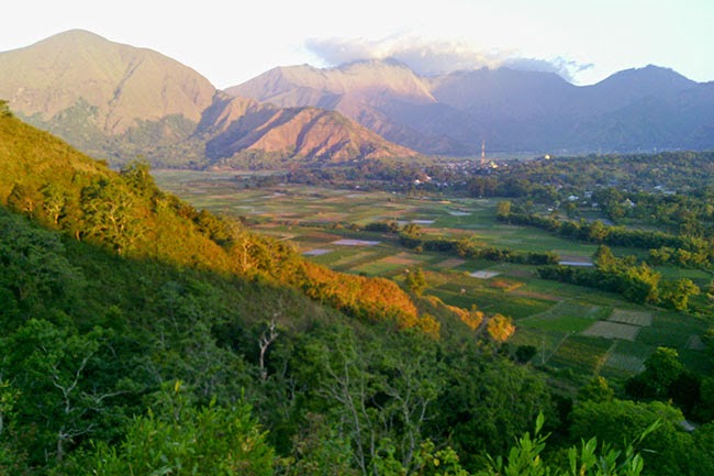 Jalan-Jalan ke Bukit Pergasingan, Sembalun, Lombok Timur 