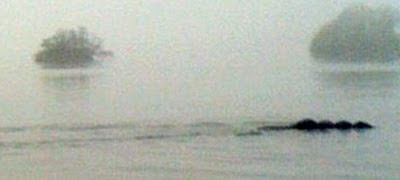 Benarkah ada monster di danau Windermere? Foto makhluk yang dianggap sebagai Bownessi