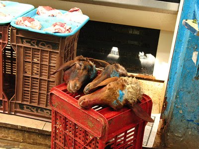 7 Makanan Unik Ekstrim Menyeramkan Dari Afrika