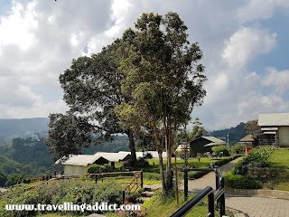 Tempat Glamping baru di Lembang, Bandung