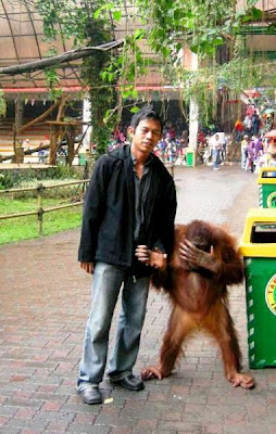 13 Foto Hewan Malu Saat Di Foto &#91;Serba 13&#93;