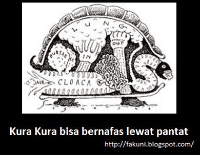 5 Fakta Unik Dunia (Update Setiap Minggu)